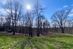 7305 Dietrick Hill Rd, Philo, OH 43771 - Photo 25