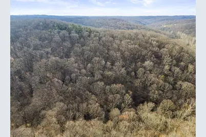 23972 Brown Road #Lot 1, South Bloomingville, OH 43152 - Photo 11