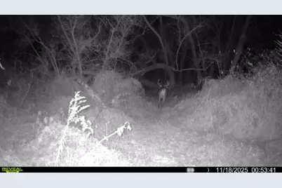 1114 State Route 314, Centerburg, OH 43011 - Photo 55