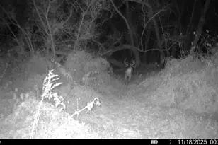 1114 State Route 314, Centerburg, OH 43011 - Photo 55