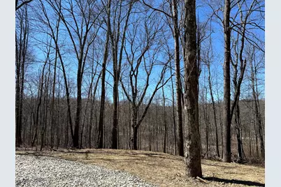 0 Dutch Ridge Road #(Woods Turkey Run Tract 5), New Lexington, OH 43764 - Photo 9