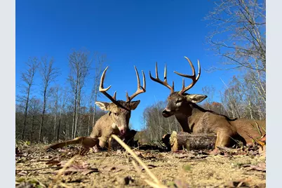 0 Dutch Ridge Road #(Woods Turkey Run Tract 5), New Lexington, OH 43764 - Photo 5