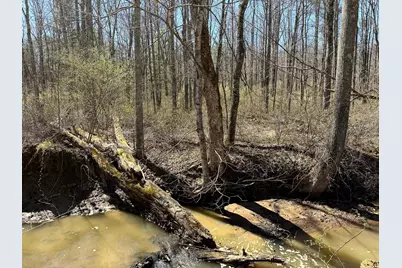 0 Dutch Ridge Road #(Woods Turkey Run Tract 5), New Lexington, OH 43764 - Photo 49