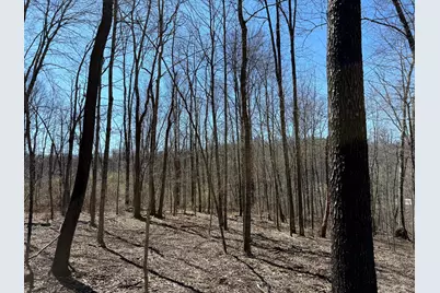 0 Dutch Ridge Road #(Woods Turkey Run Tract 5), New Lexington, OH 43764 - Photo 11