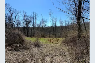 0 Dutch Ridge Road #(Woods Turkey Run Tract 5), New Lexington, OH 43764 - Photo 17