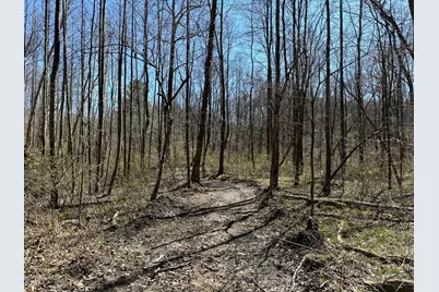 0 Dutch Ridge Road #(Woods Turkey Run Tract 5), New Lexington, OH 43764 - Photo 39
