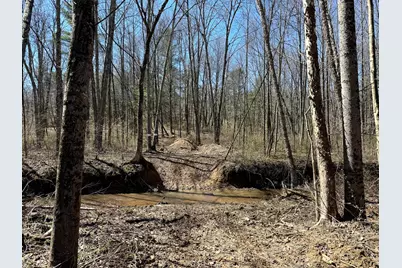 0 Dutch Ridge Road #(Woods Turkey Run Tract 5), New Lexington, OH 43764 - Photo 27