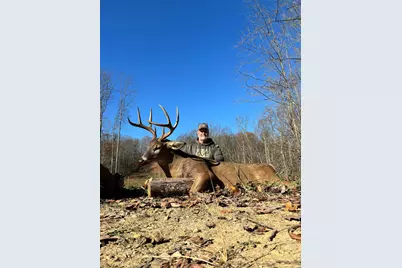 0 Dutch Ridge Road #(Woods Turkey Run Tract 6), New Lexington, OH 43764 - Photo 17