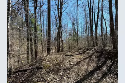 0 Dutch Ridge Road #(Woods Turkey Run Tract 6), New Lexington, OH 43764 - Photo 15