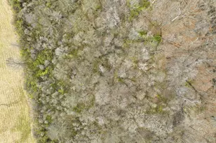 4445 Central College Rd, Westerville, OH 43081 - Photo 73