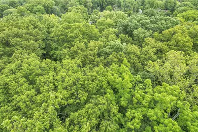 4445 Central College Road, Westerville, OH 43081 - Photo 59