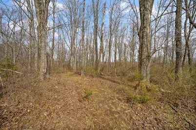 5164 Riverway Run, Powell, OH 43065 - Photo 21