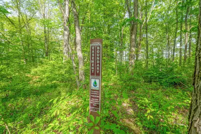 5164 Riverway Run, Powell, OH 43065 - Photo 17