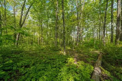 5164 Riverway Run, Powell, OH 43065 - Photo 19