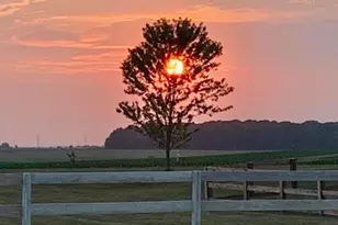 7280 Rader Rd NE, Pleasantville, OH 43148 - Photo 85