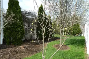 3626 Natalie Dr, Grove City, OH 43123 - Photo 5