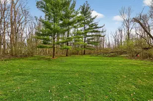 4260 Township Rd 99, Mount Gilead, OH 43338 - Photo 51