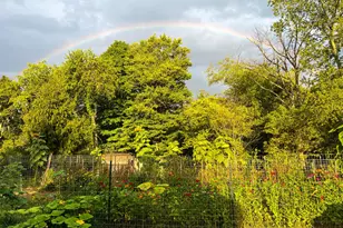 7899 Township Road 390, Corning, OH 43730 - Photo 57