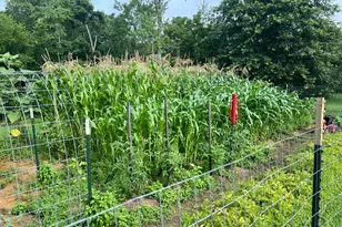 7899 Township Road 390, Corning, OH 43730 - Photo 55