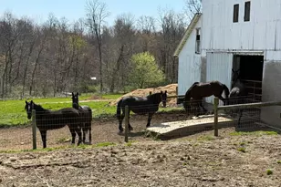 11284 State Route 668 N, Somerset, OH 43783 - Photo 45