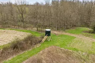 11284 State Route 668 N, Somerset, OH 43783 - Photo 47