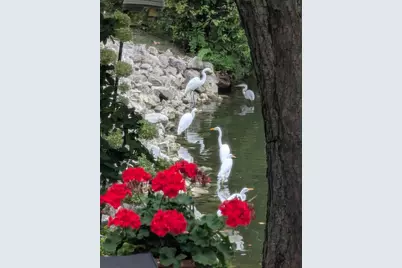 6299 Memorial Drive, Dublin, OH 43017 - Photo 51