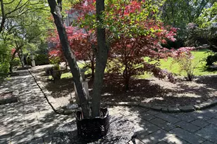875 E Broad St, Columbus, OH 43205 - Photo 167