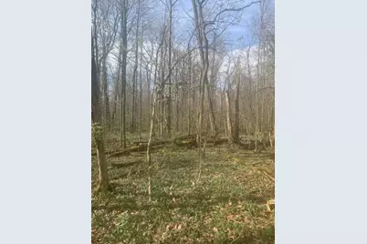 0 Township Road 188, Marengo, OH 43334 - Photo 5