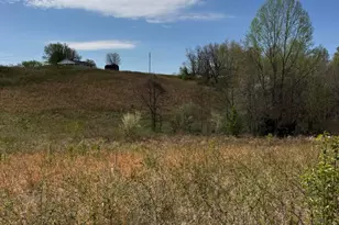 3233 Tick Ridge Rd, Wheelersburg, OH 45694 - Photo 5