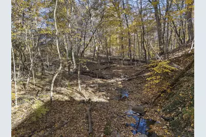 7757 Bridlespur Lane, Delaware, OH 43015 - Photo 87