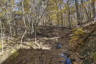 7757 Bridlespur Ln, Delaware, OH 43015 - Photo 87