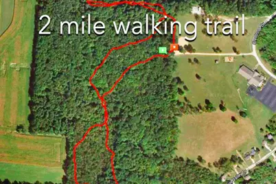 639 Daffodil Drive, Howard, OH 43028 - Photo 43