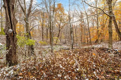 375 Home Road, Delaware, OH 43015 - Photo 85