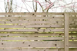 2655 Minerva Lake Rd, Columbus, OH 43231 - Photo 9