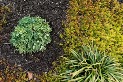 2813 Bryden Road, Columbus, OH 43209 - Photo 89