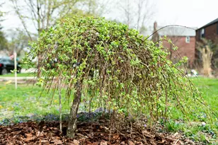 2813 Bryden Rd, Columbus, OH 43209 - Photo 11