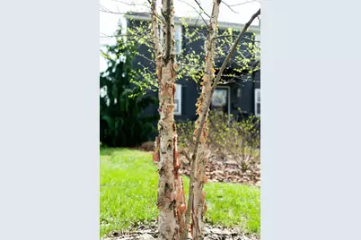 2813 Bryden Road, Columbus, OH 43209 - Photo 7