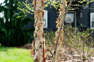 2813 Bryden Rd, Columbus, OH 43209 - Photo 7