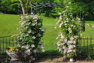 5095 Township Rd 398A, Somerset, OH 43783 - Photo 67