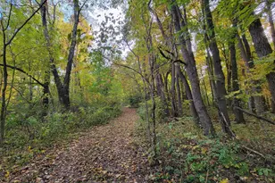 5095 Township Rd 398A, Somerset, OH 43783 - Photo 75