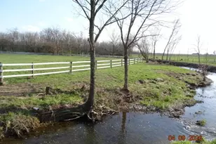 12237 Woods Opossum Run, Orient, OH 43146 - Photo 7