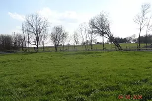 12237 Woods Opossum Run, Orient, OH 43146 - Photo 5