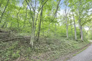 0 Lot #1 Thad Hall Rd, Laurelville, OH 43135 - Photo 1