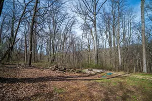 12861 Jack Run Rd, Rockbridge, OH 43149 - Photo 27