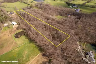 5211 Raccoon Run Rd, Johnstown, OH 43031 - Photo 53