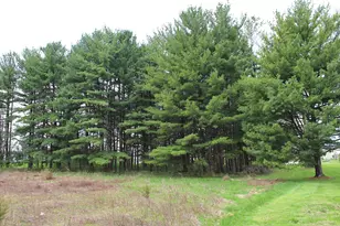 5719 North Rd, Lewis Center, OH 43035 - Photo 21