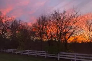 6335 Lakeview Dr W, Grove City, OH 43123 - Photo 49