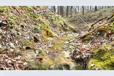 2641 Morganstern Lane, Beverly, OH 45715 - Photo 37