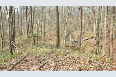 2641 Morganstern Lane, Beverly, OH 45715 - Photo 43