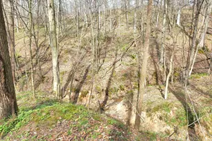 2641 Morganstern Ln, Beverly, OH 45715 - Photo 39